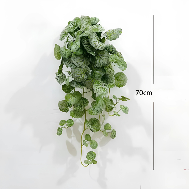 Planta Pendente