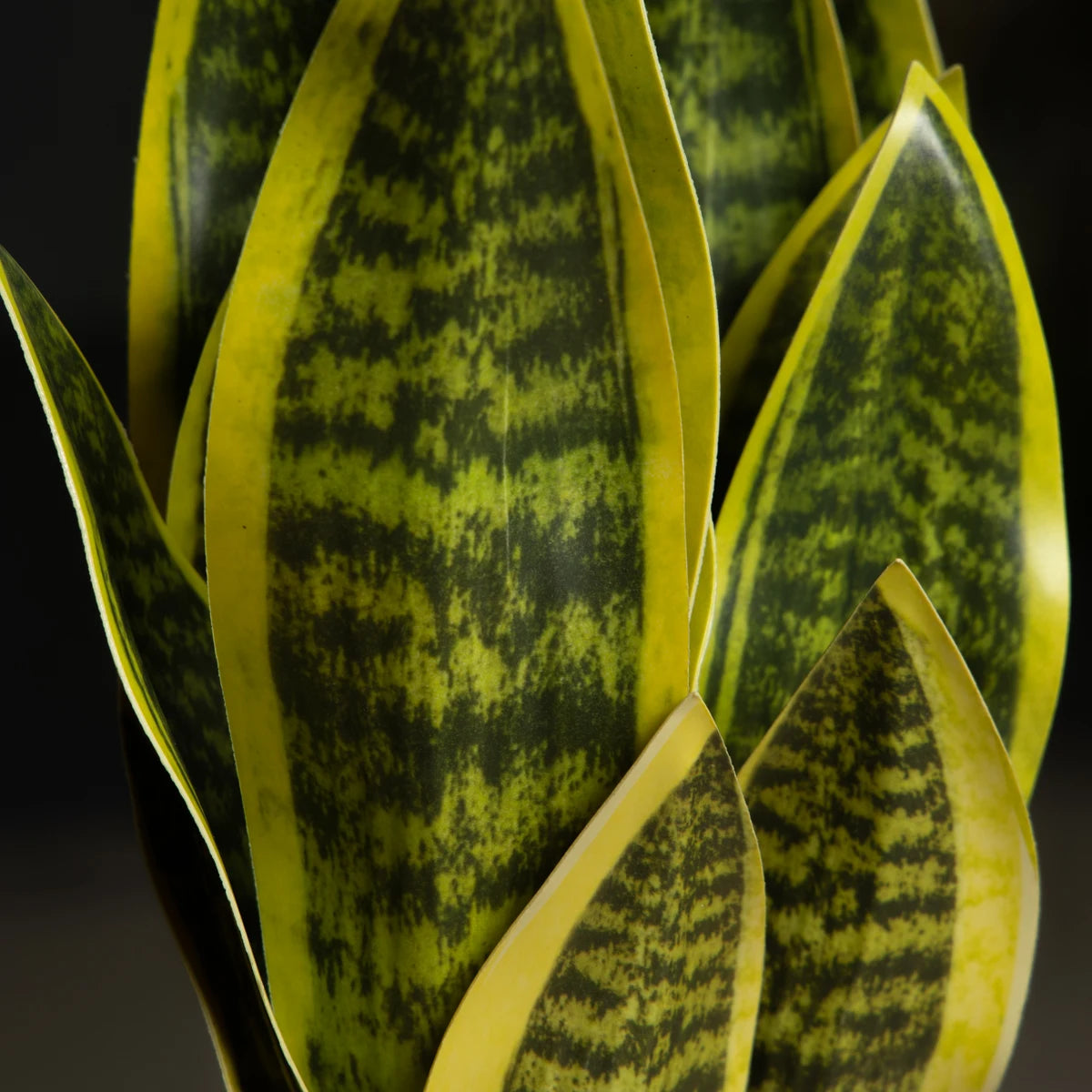 Planta Artificial