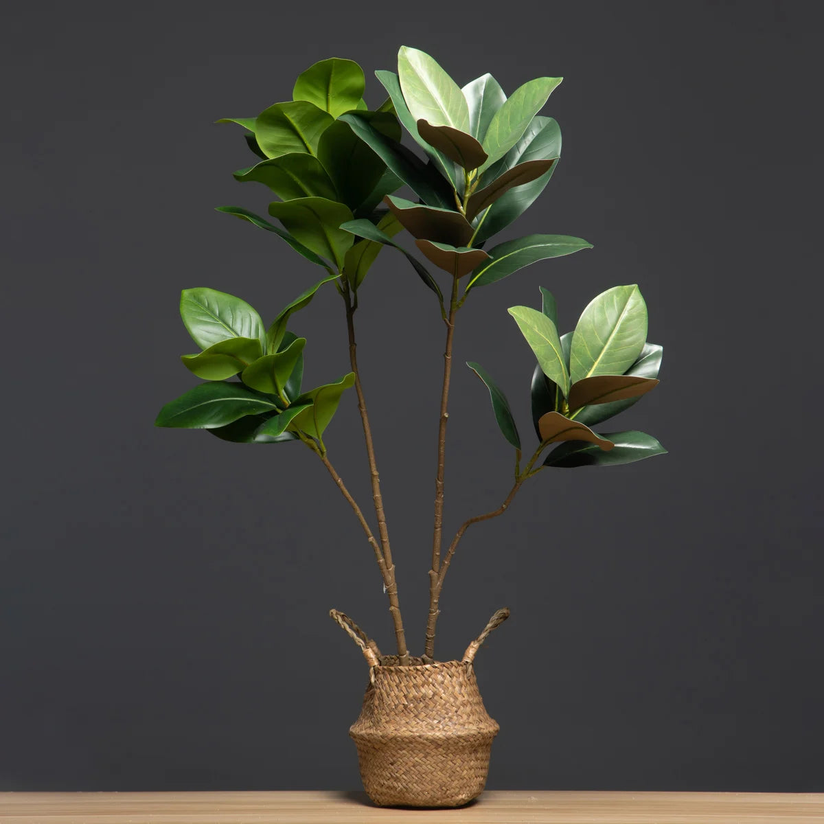 Planta Artificial