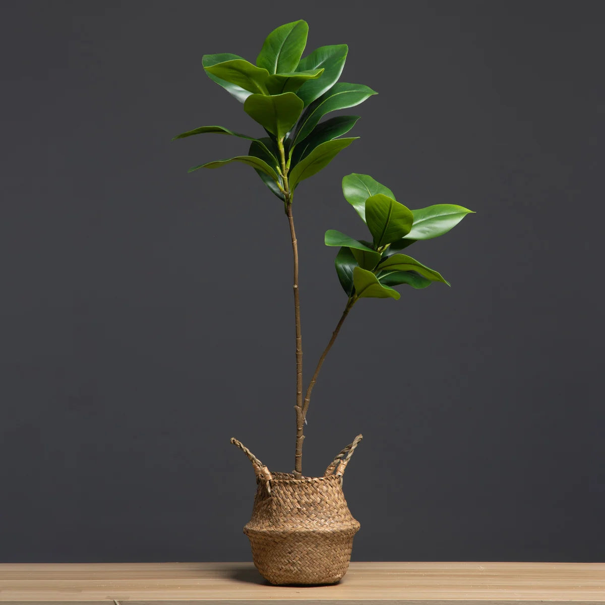 Planta Artificial