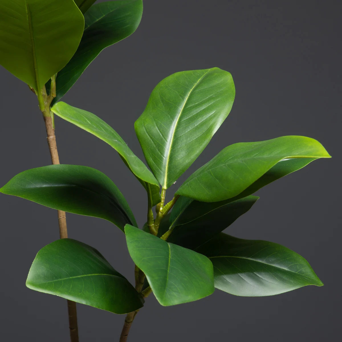 Planta Artificial