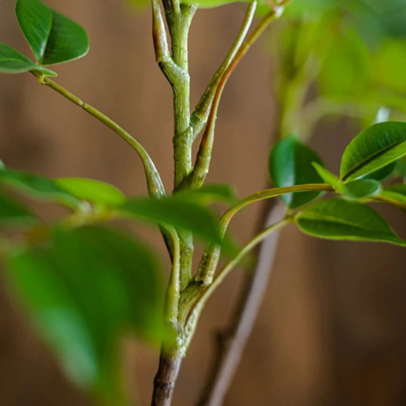 Planta Artificial
