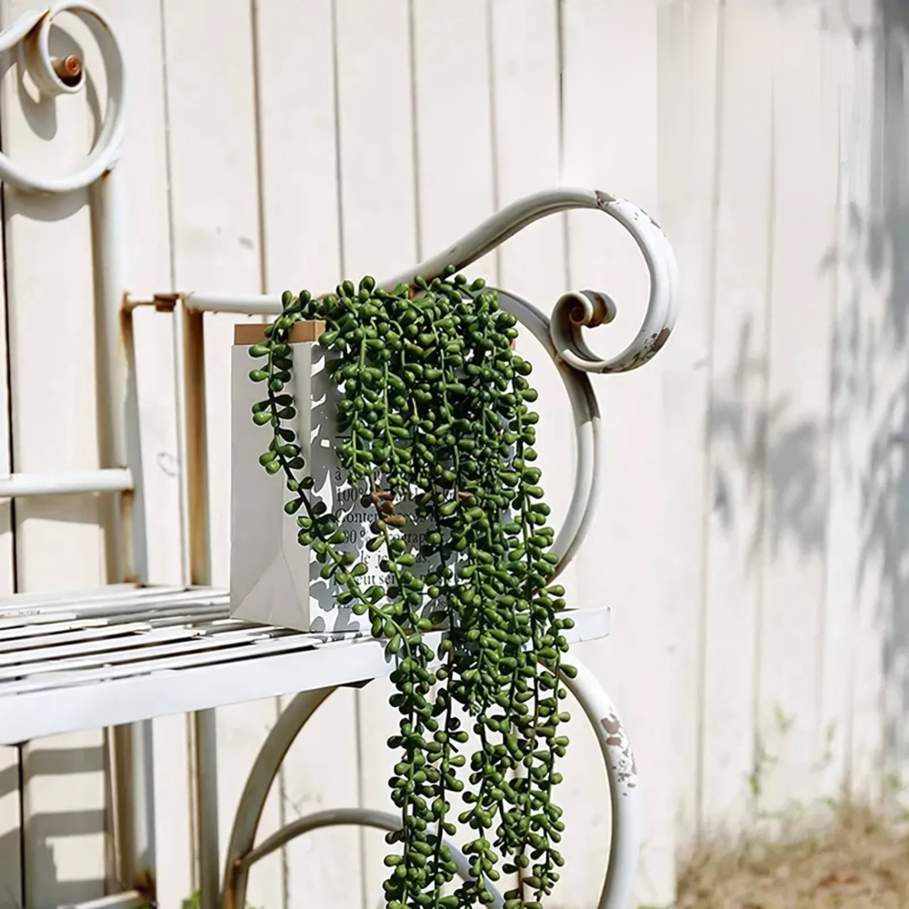 Planta Pendente