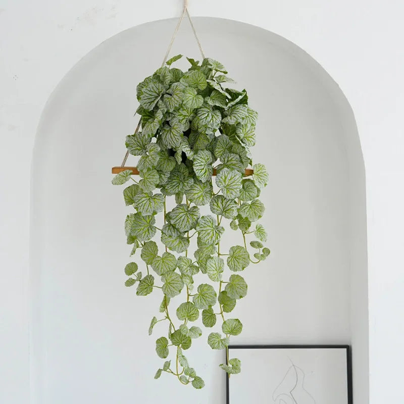 Planta Pendente