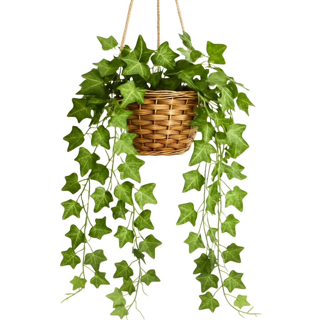 Planta Pendente De Hera, Jiboia e Melancia Com Vaso Decorativo