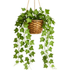 Planta Pendente De Hera, Jiboia e Melancia Com Vaso Decorativo