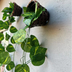 Kit 3 Pendentes - São 6 Pendentes Mais 3 Vasos Sintéticos Trançados