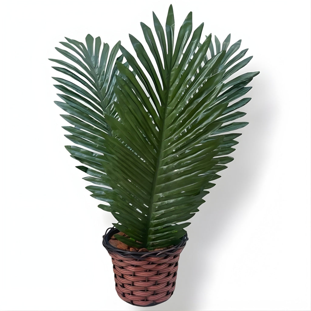 Arranjo Palmeira Coqueiro Com 3 Folhas + Vaso trançado + Casca de Árvore + Argila