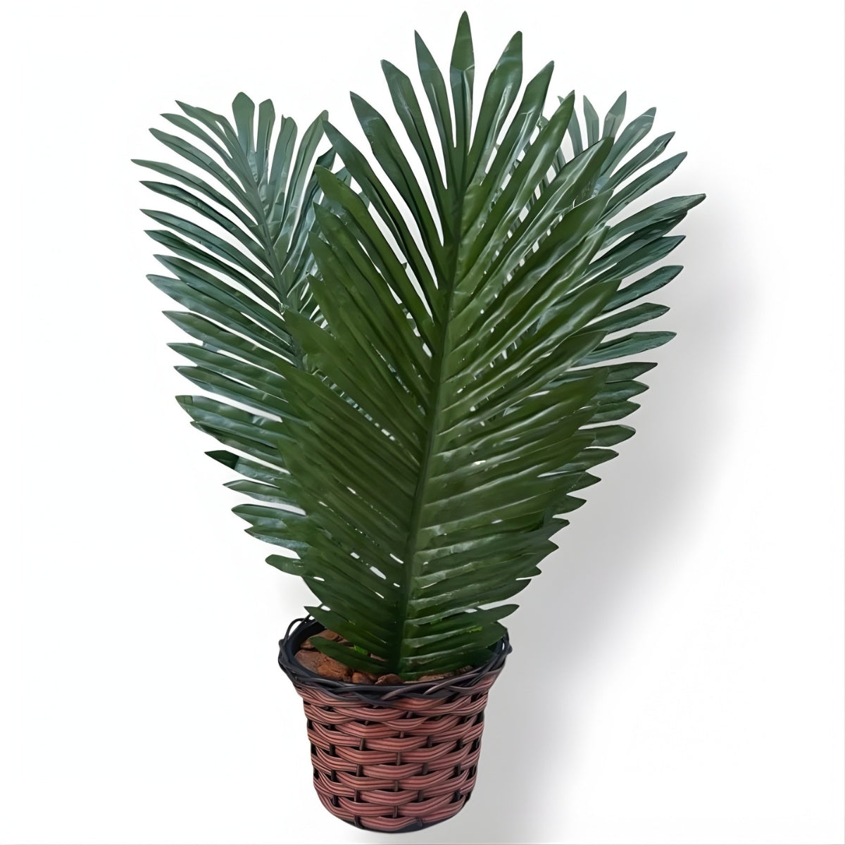 Arranjo Palmeira Coqueiro Com 3 Folhas + Vaso trançado + Casca de Árvore + Argila