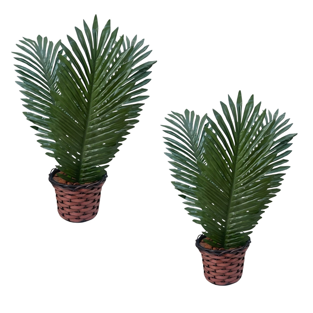 Arranjo Palmeira Coqueiro Com 3 Folhas + Vaso trançado + Casca de Árvore + Argila