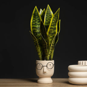 Planta Artificial