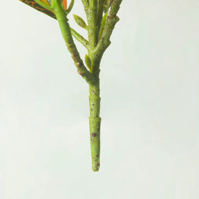 Planta Artificial 