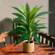 Planta Artificial 
