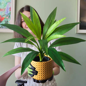 Planta Artificial 