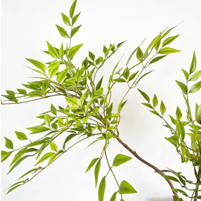 Planta Artificial