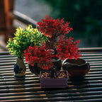 Planta Artificial Bonsai