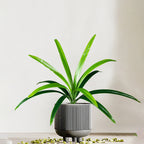 Planta Artificial Magnolia