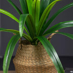 Planta Artificial Magnolia