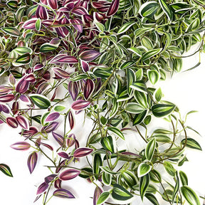 Planta Artificial Pendente