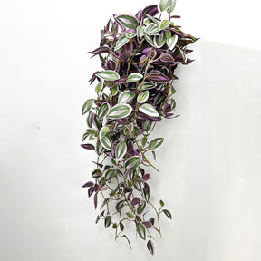 Planta Artificial Pendente