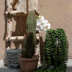 Planta Artificial Pendente 