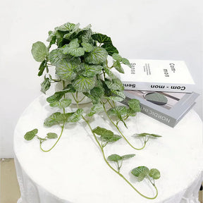 Planta Pendente