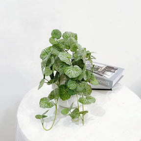 Planta Pendente