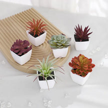 planta Artificial