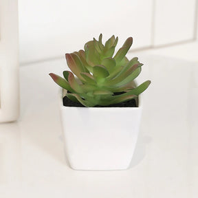 planta Artificial