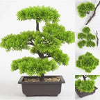 Planta Artificial Bonsai