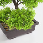 Planta Artificial Bonsai