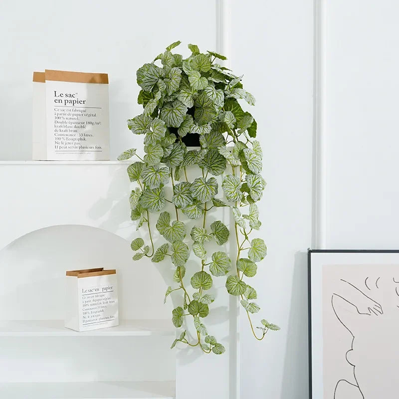 Planta Pendente