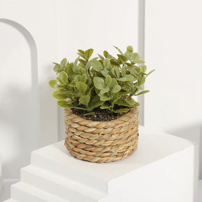 Planta Artificial Eucalipto