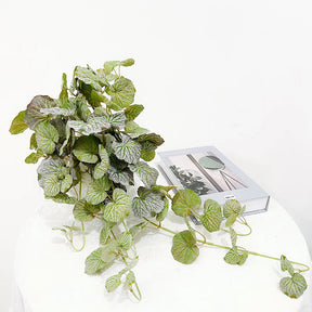 Planta Pendente