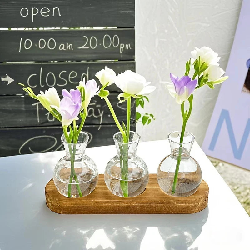 Vaso Lâmpada Hidropônica