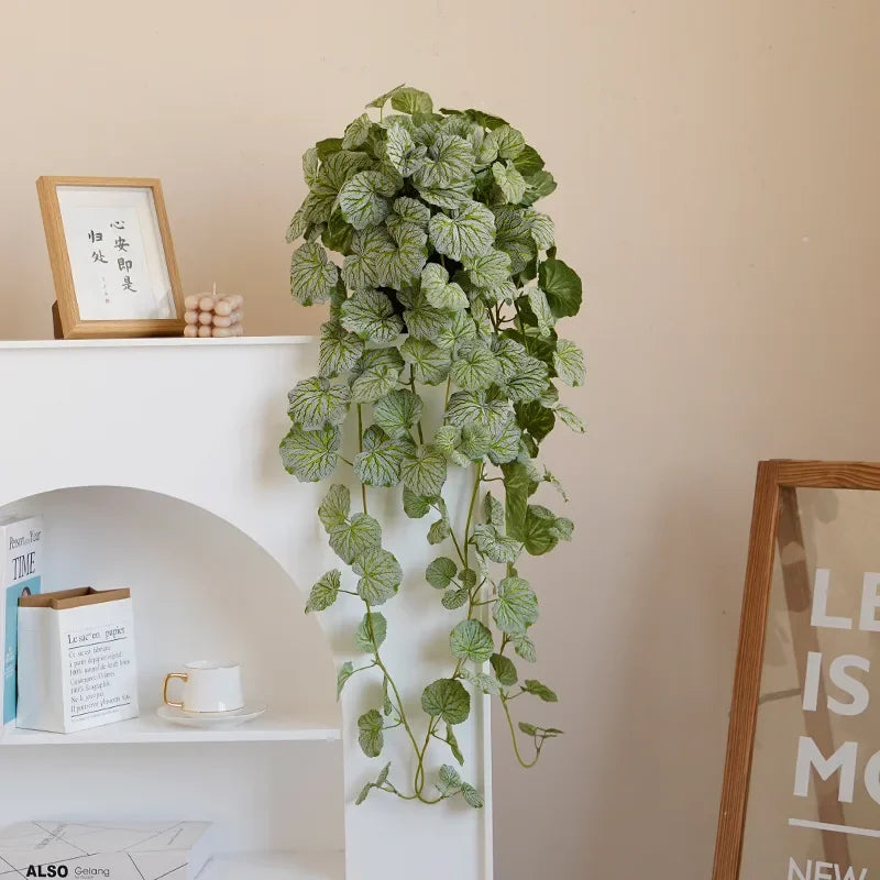 Planta Pendente