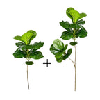 Planta Artificial Ficus