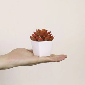 planta Artificial