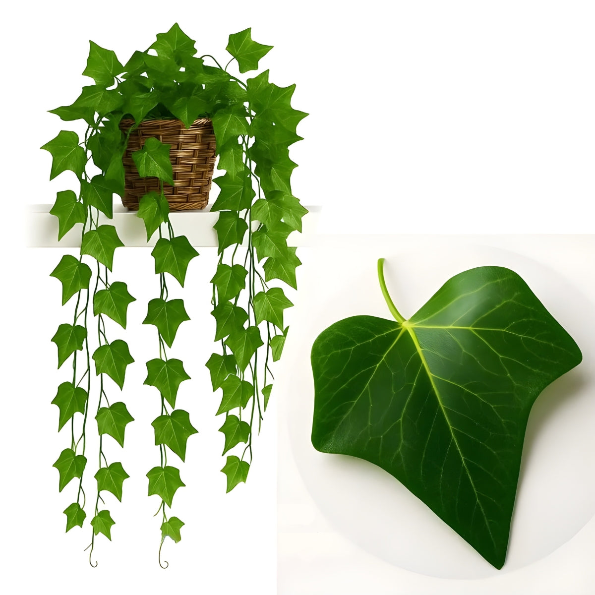 Planta Pendente De Hera, Jiboia e Melancia Com Vaso Decorativo